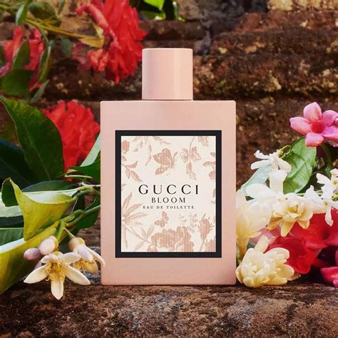 who wears gucci bloom|gucci bloom perfume smell.